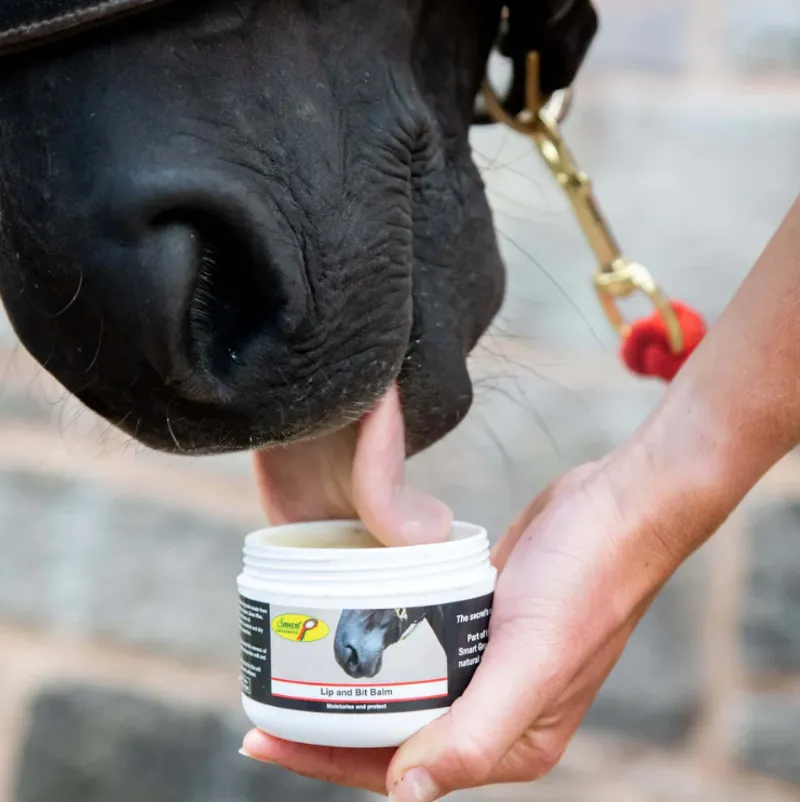 Smart Grooming - Lip and Bit Balm 120g